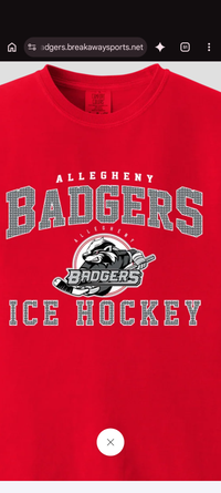 Allegheny Badgers logo