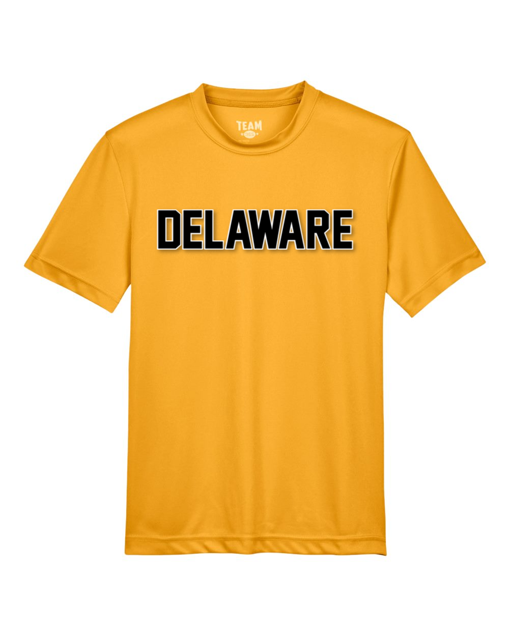 Delaware Elementary Team 365 Youth Zone Performance T-Shirt (Sport Athletic Gold)