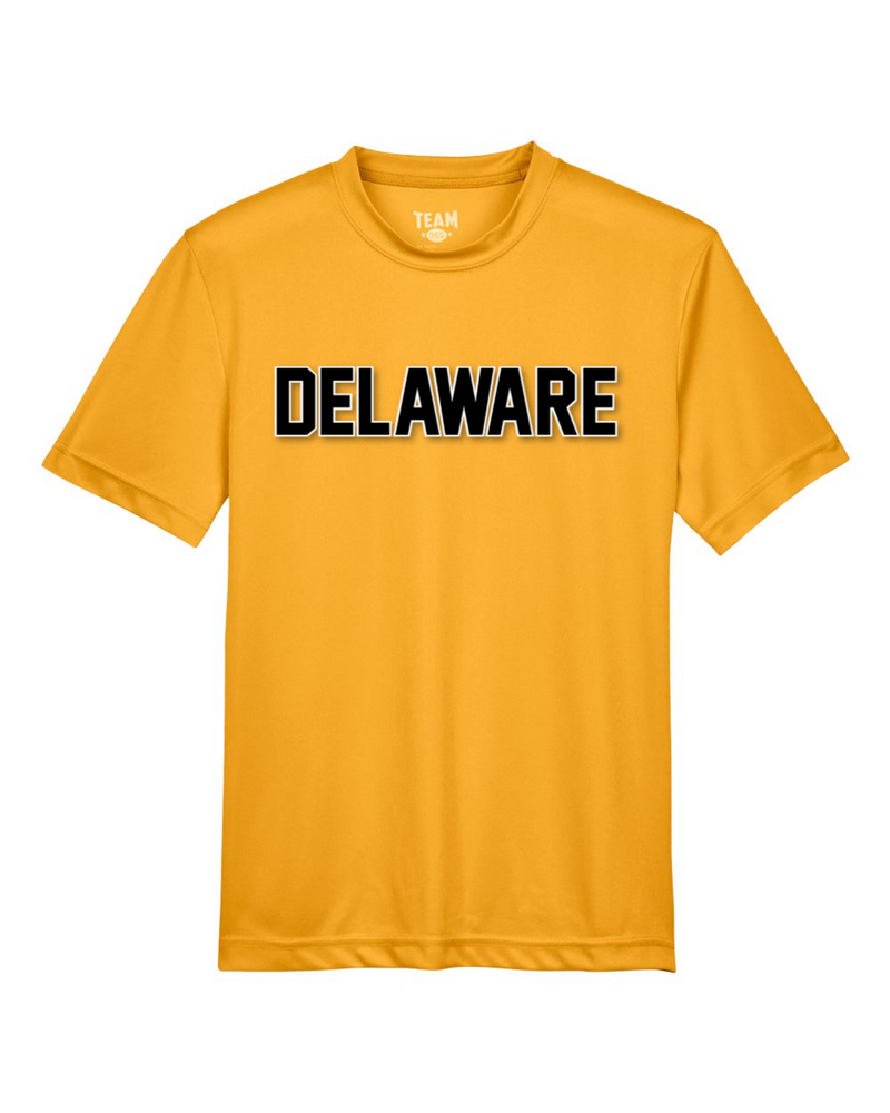 Delaware Elementary Team 365 Youth Zone Performance T-Shirt (Sport Athletic Gold)