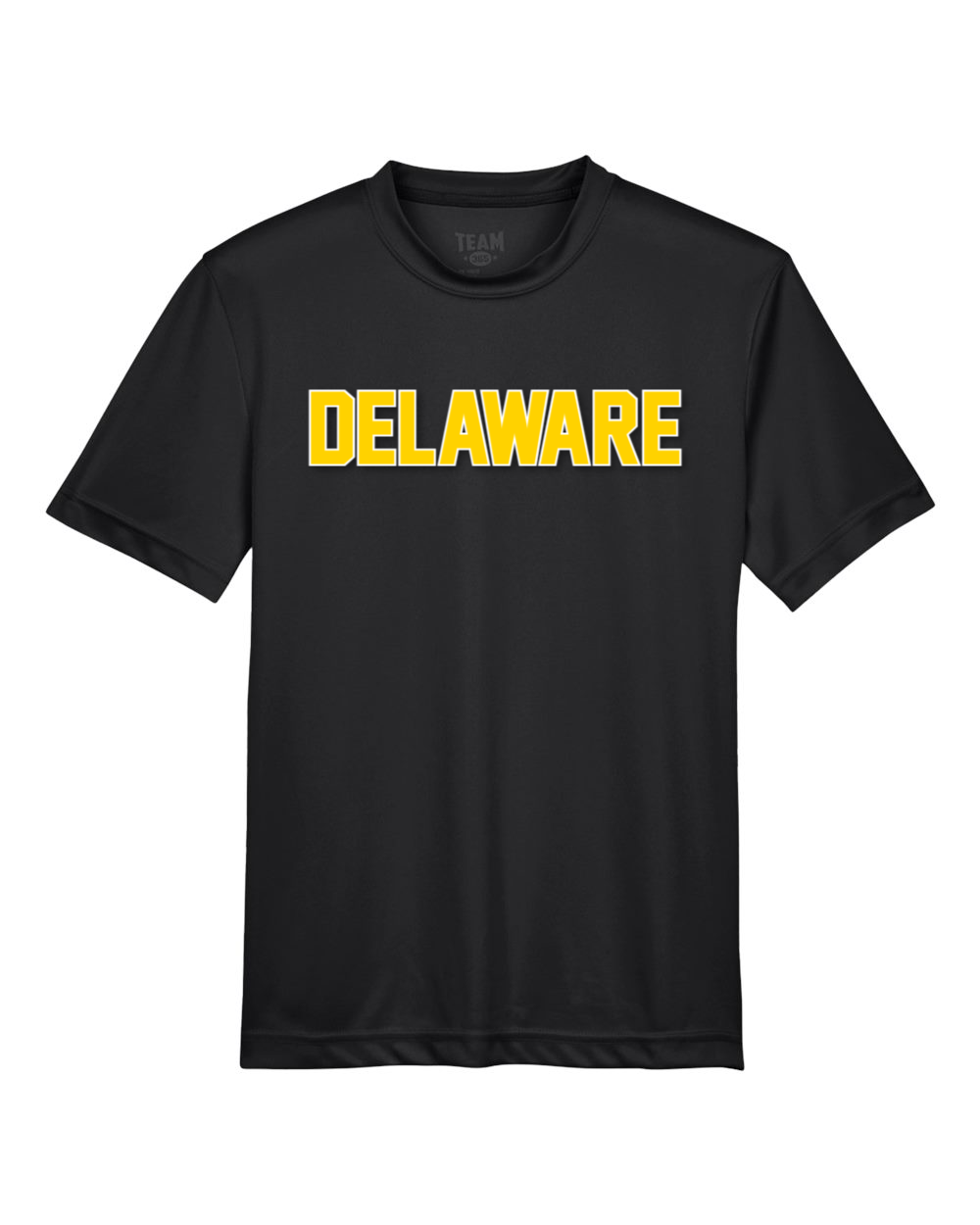 Delaware Elementary Team 365 Youth Zone Performance T-Shirt (Black)