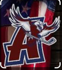 Auburn Ice Hawks Hawk logo