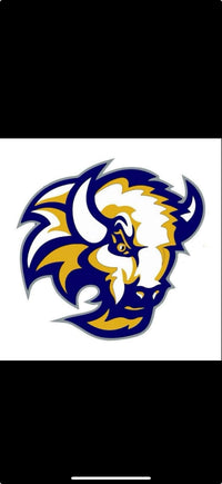 Buffalo Bison logo