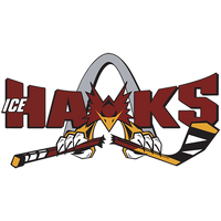 Ice Hawks logo
