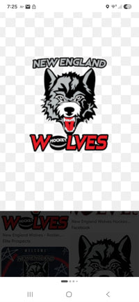 New england wolves logo