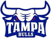 Tampa Bulls logo