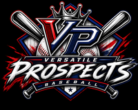 Versatile Prospects logo