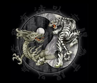 Yin Yang Dragons Dragon logo