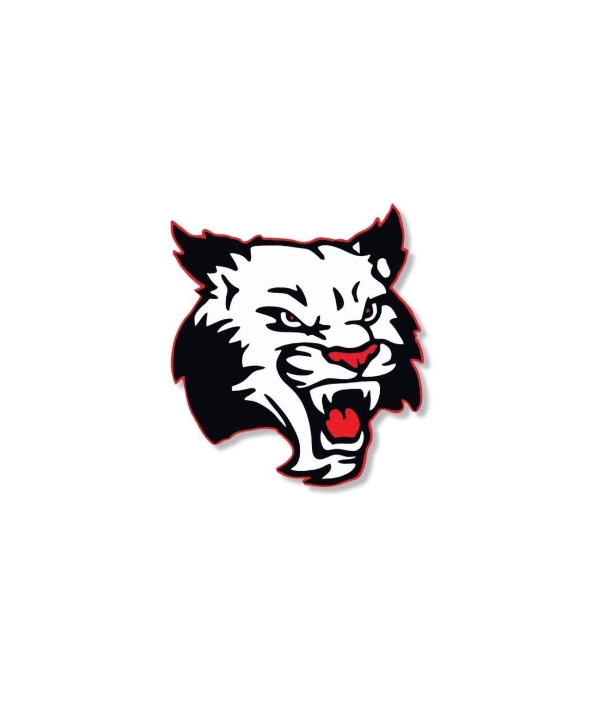 Big League Wildcats