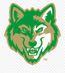 Buford Wolves Allstars