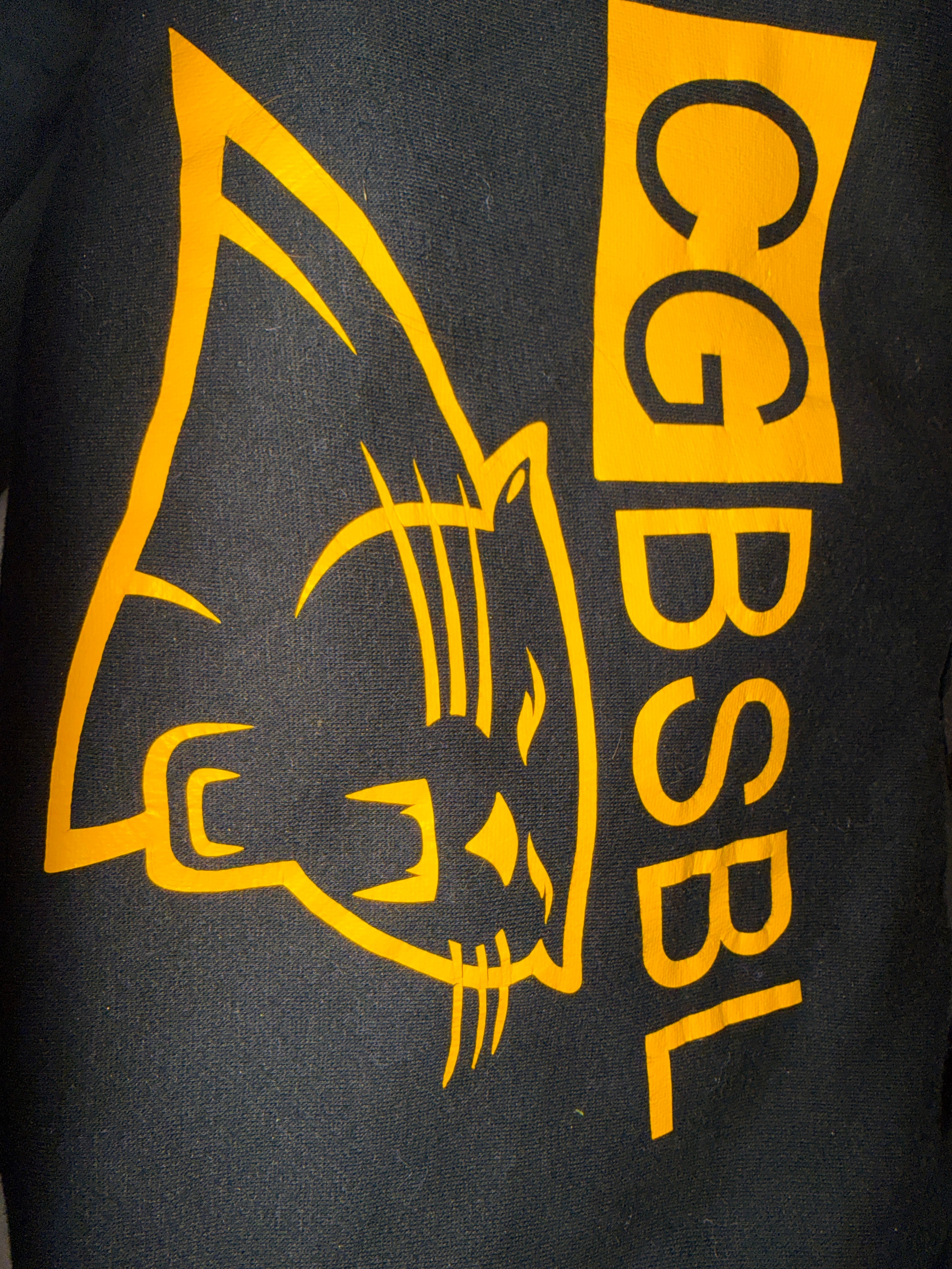 Cedar Grove Gold Panthers