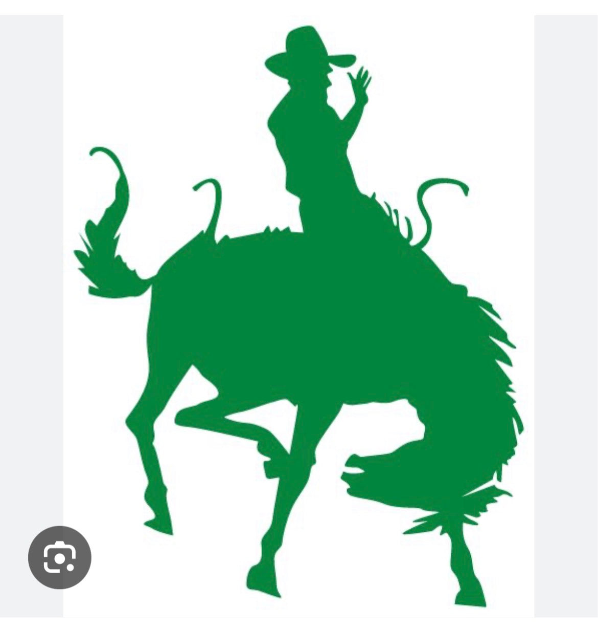 Cowboys
