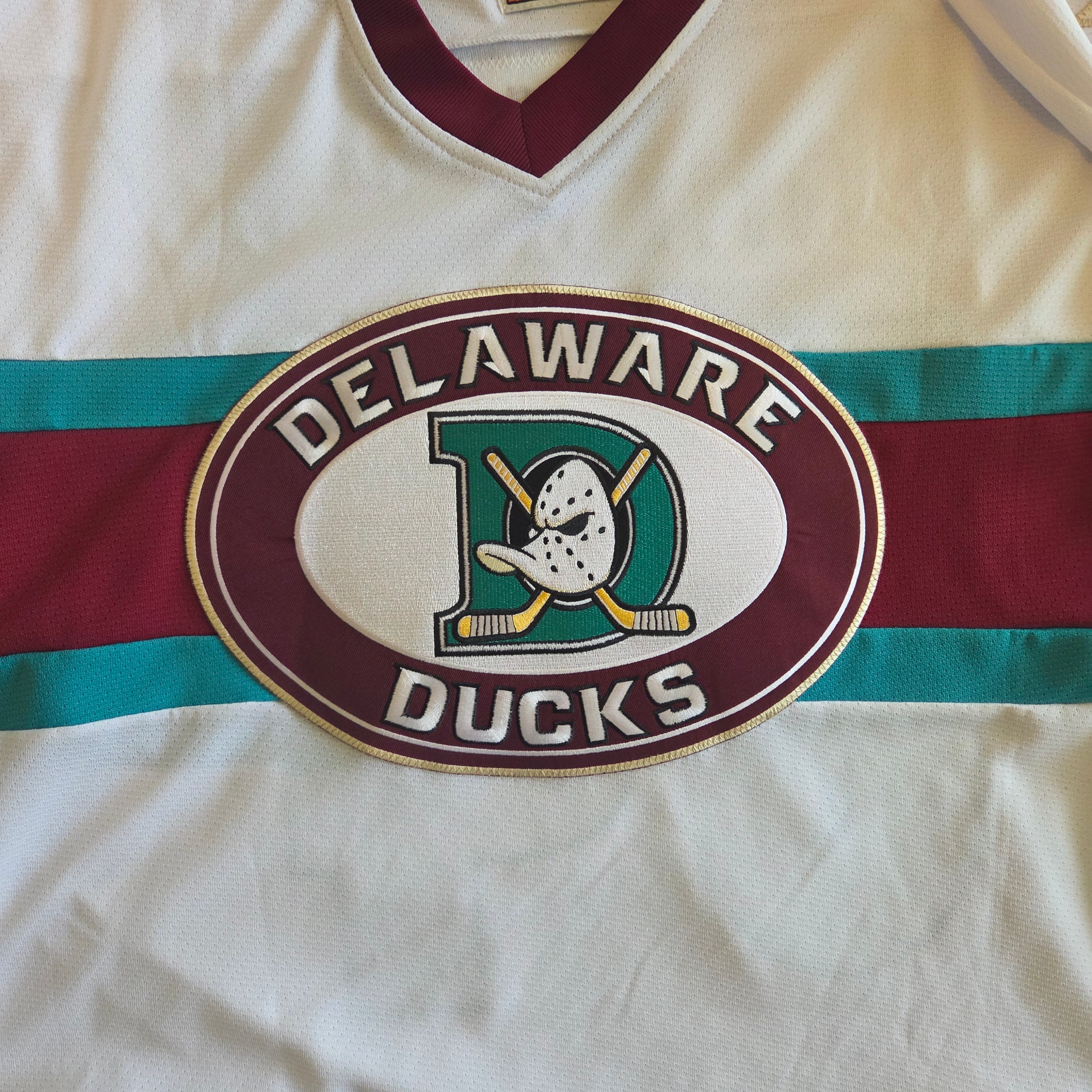Delaware Ducks