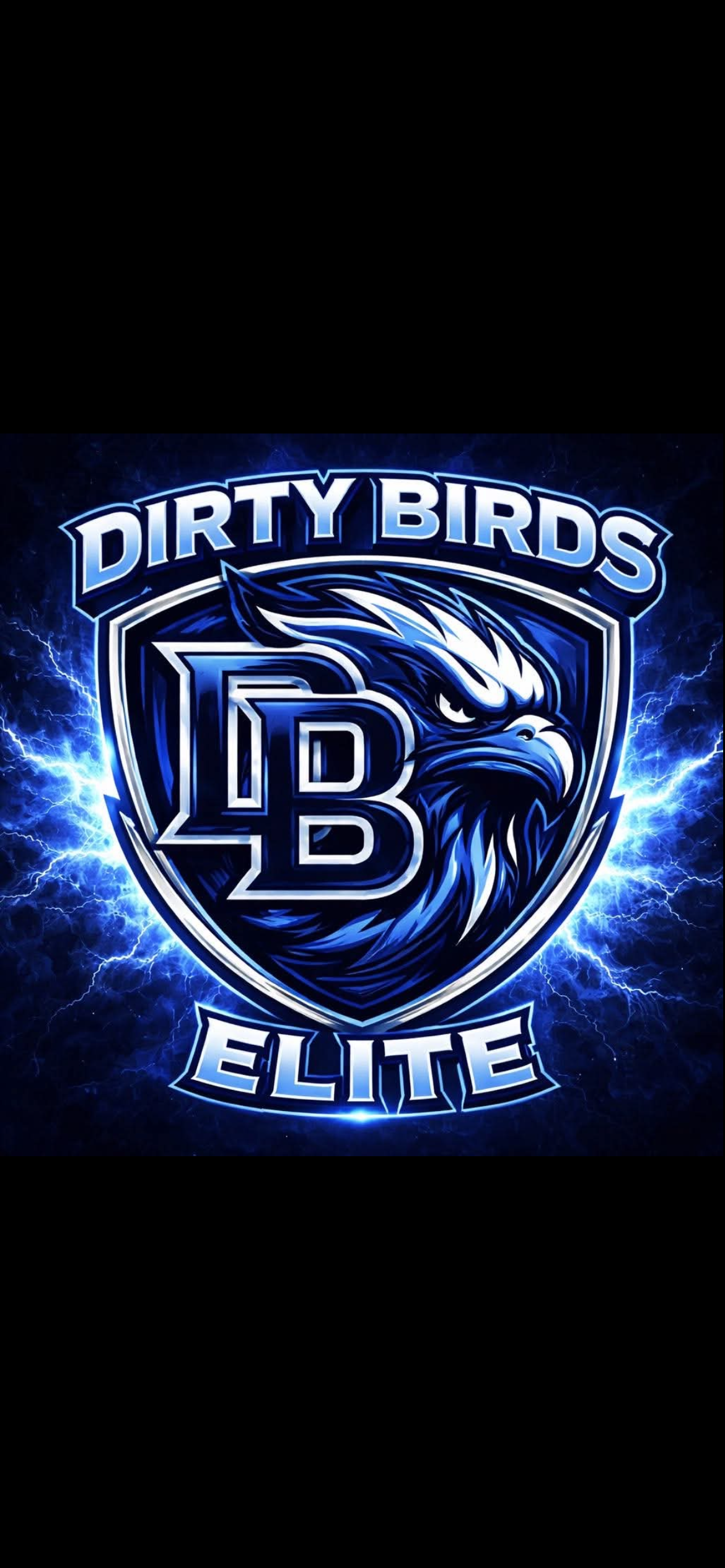 Dirty Birds Elite (DBE)