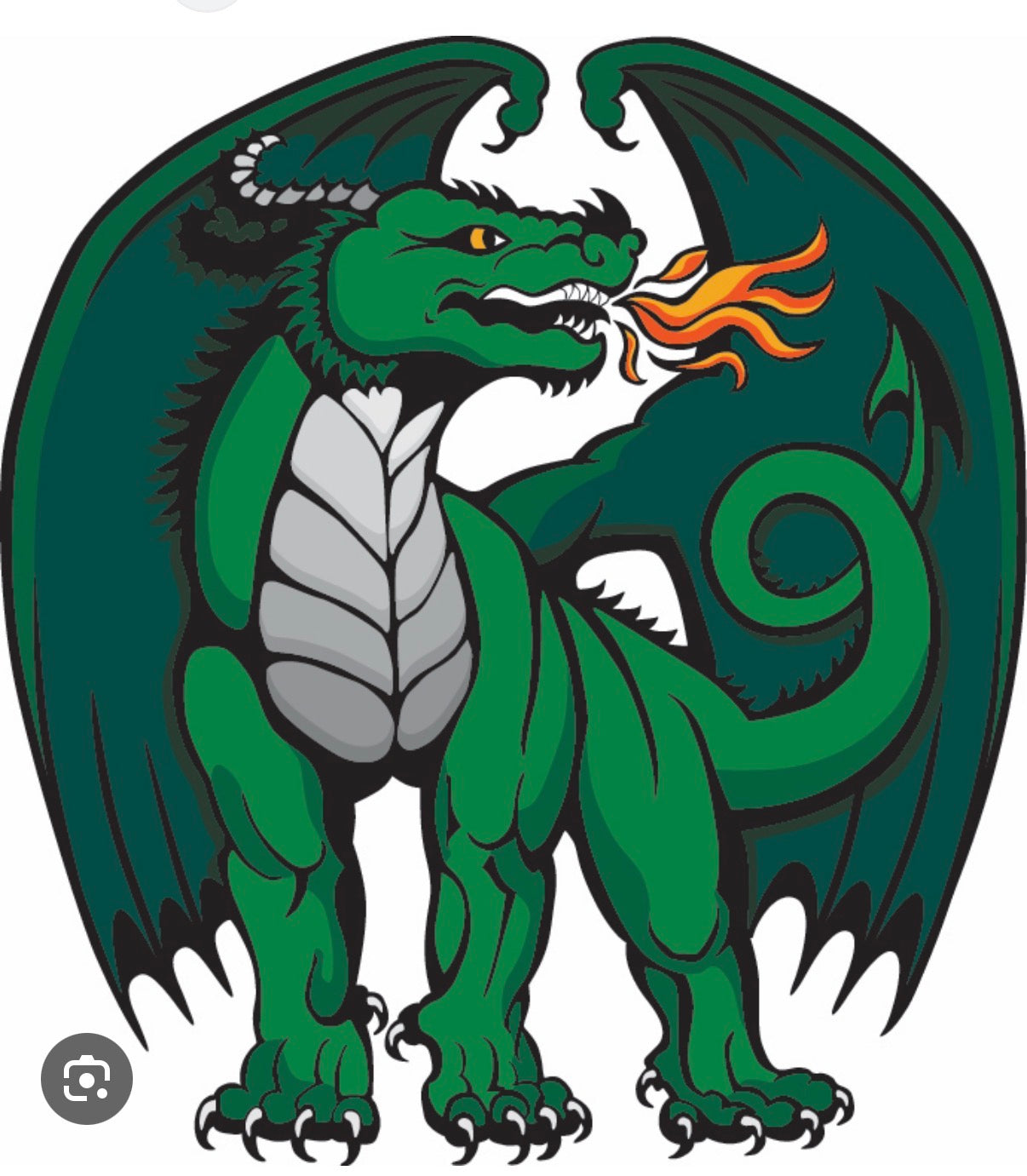 Duxbury Dragons