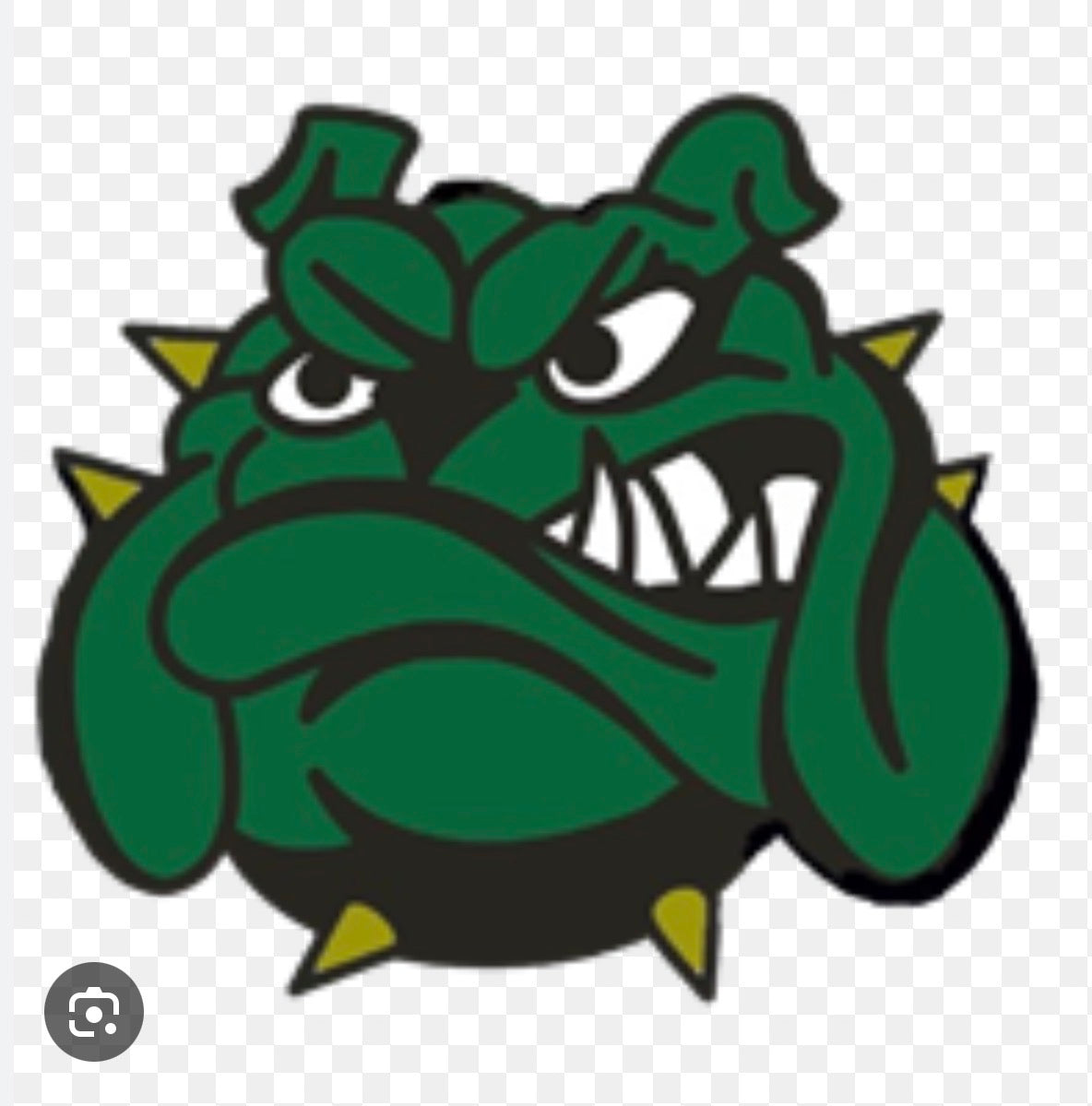 Farmingdale Greendogs