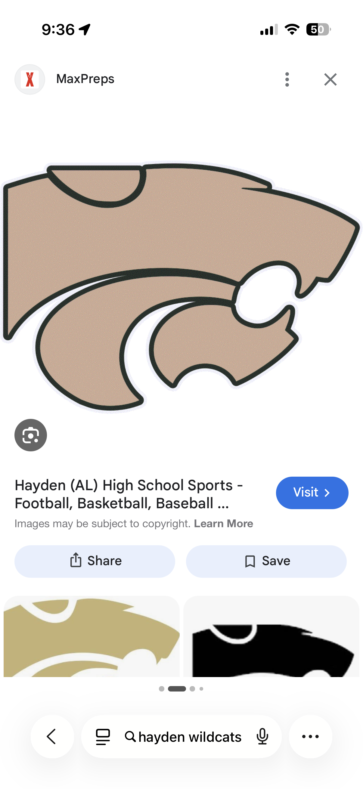 Hayden Wildcats
