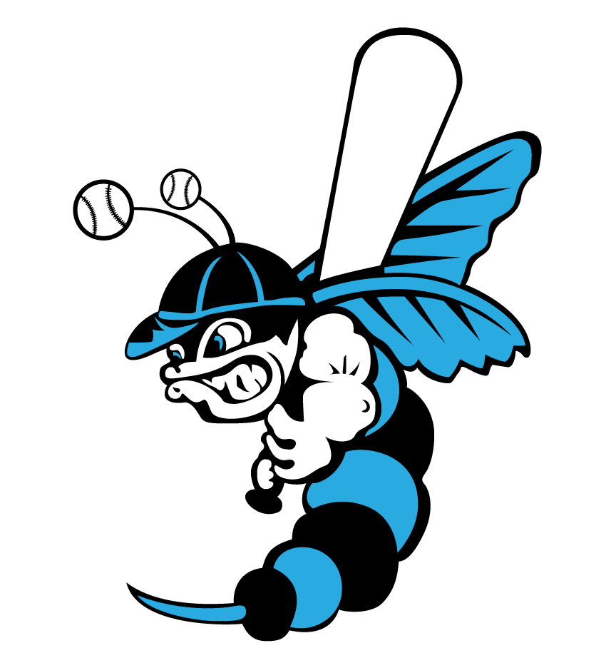 Hickory Hornets
