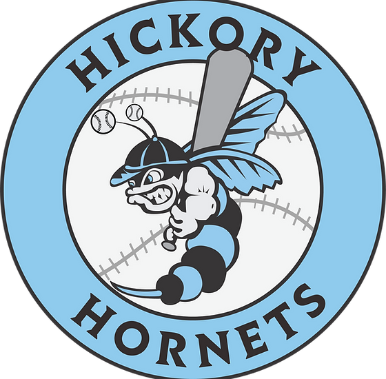 Hickory Hornets 11U Blue