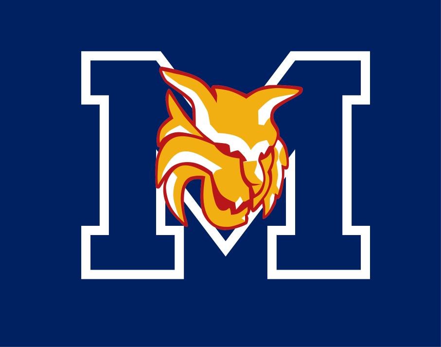 Michigan wildcats