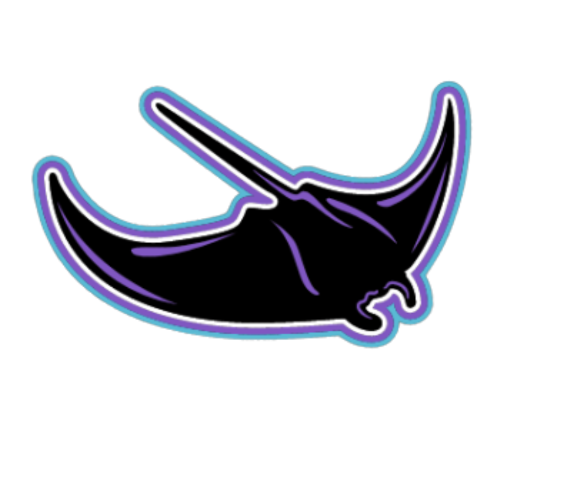 Rochester Rays