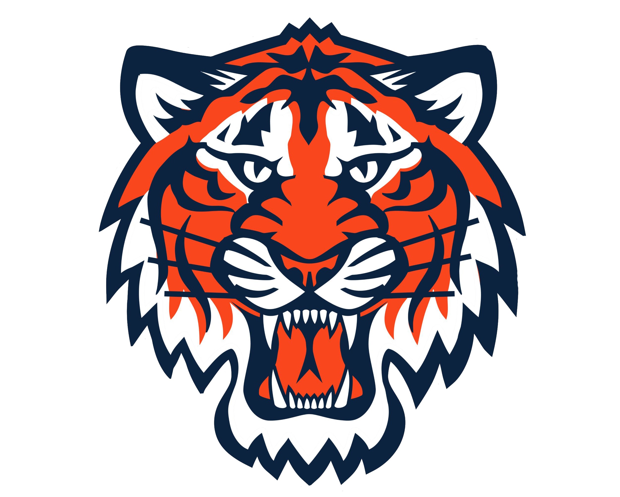 Rockville Centre Tigers