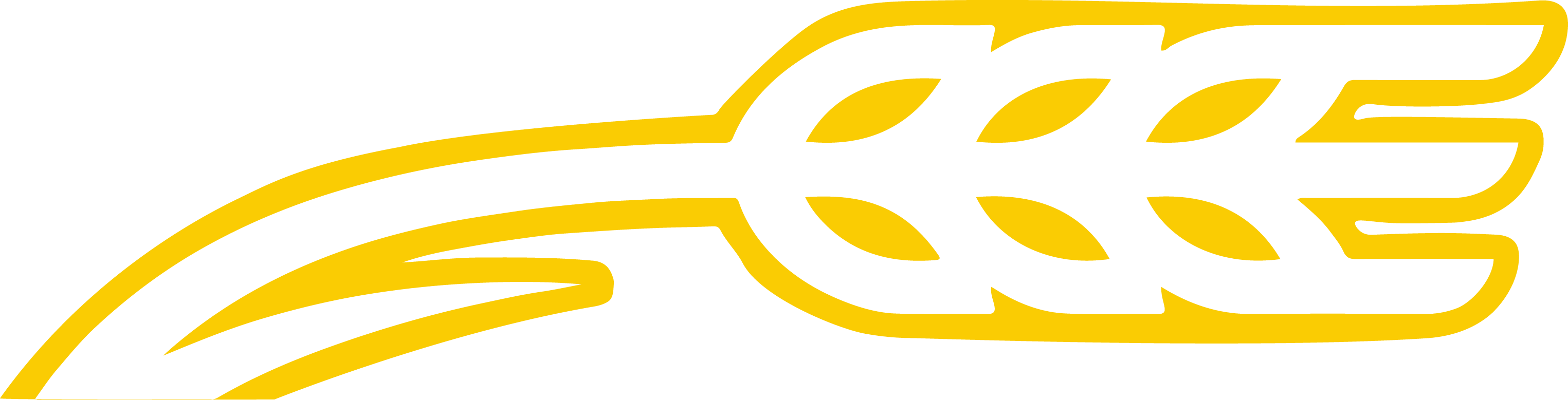 Shawnee Shockers