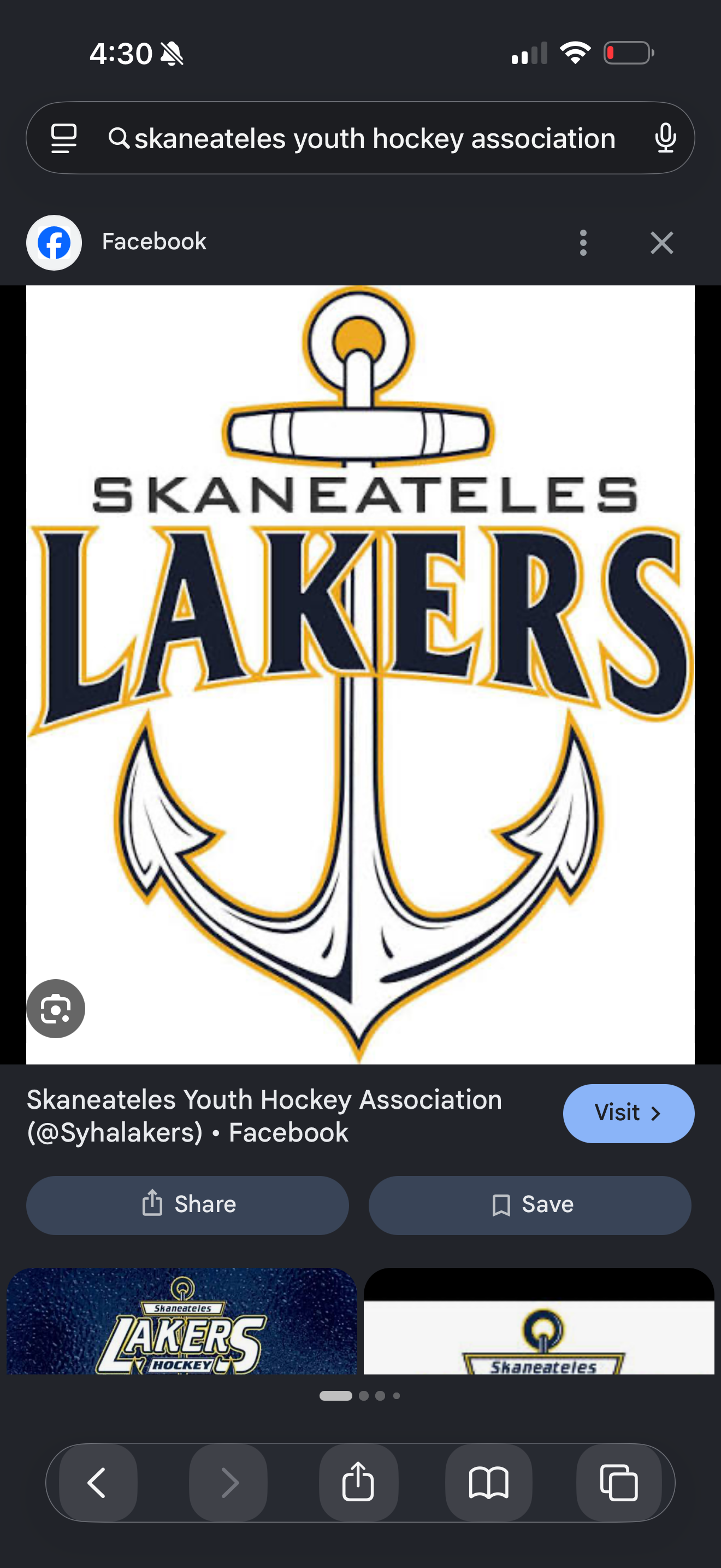 Skaneateles Lakers