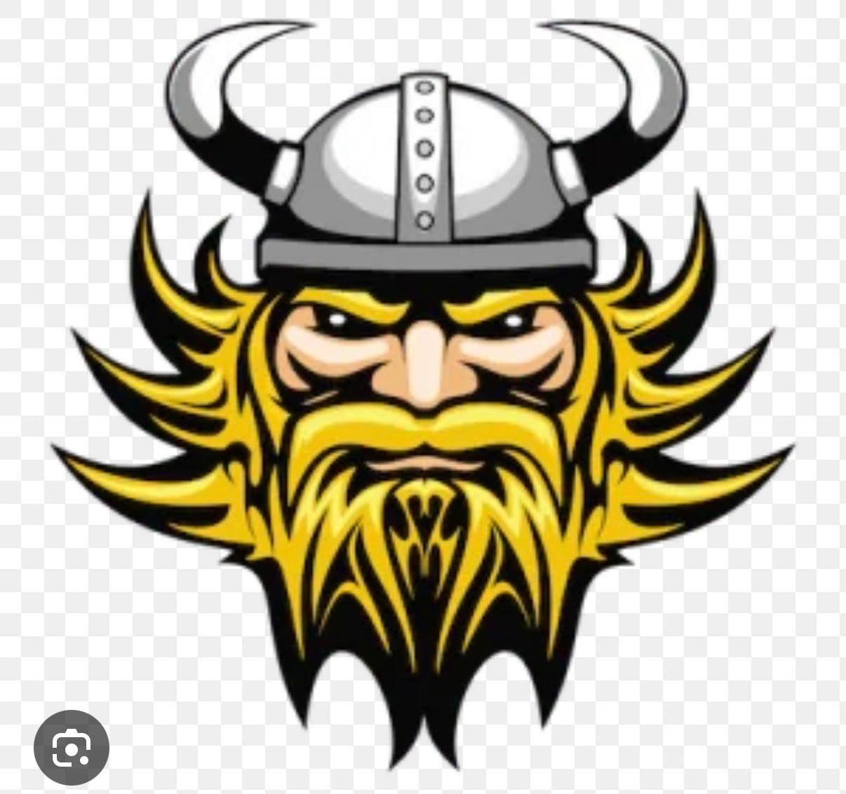 South Brunswick Vikings