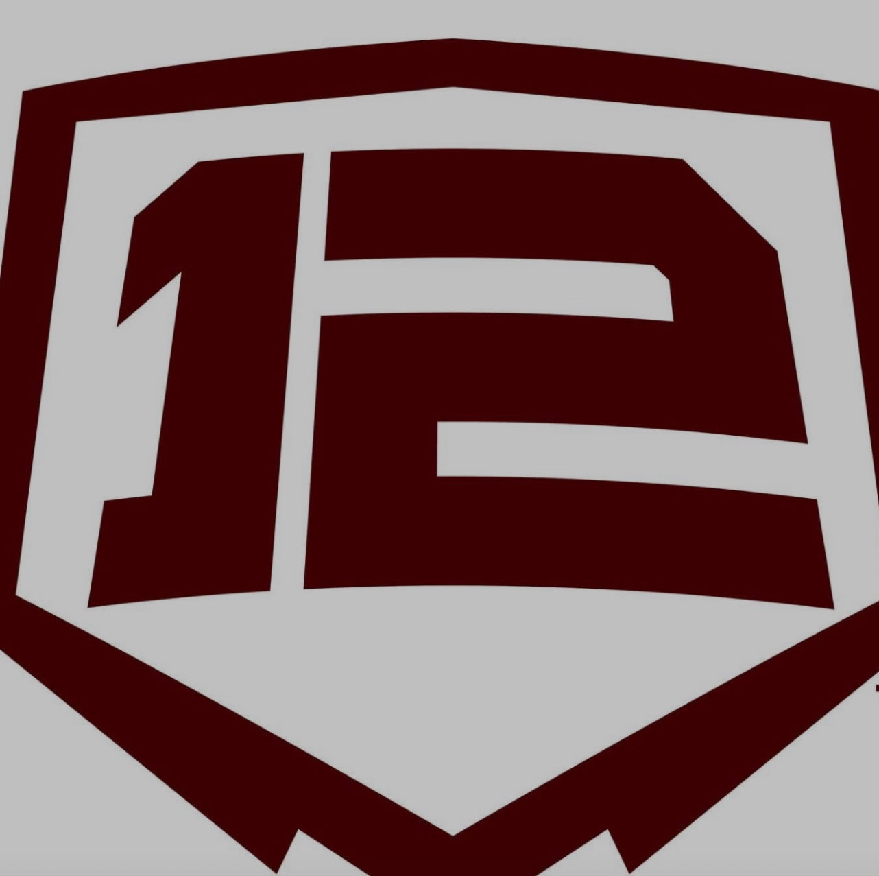 Texas Twelve Maroon 11U Bay Area