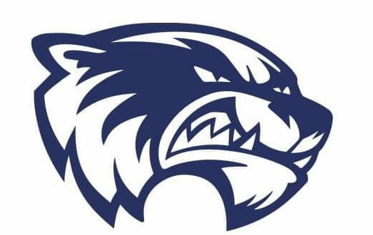 Wolverines